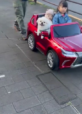 ニコニコ笑顔のわんこにキュン♡