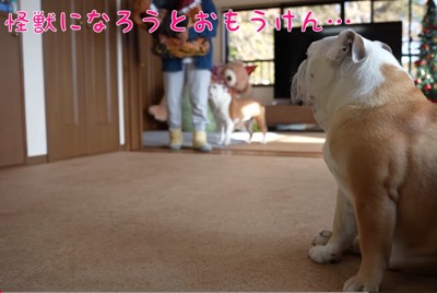 飼い主さんと2匹のブルドッグ