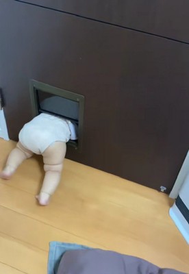 赤ちゃんが詰まってる！！