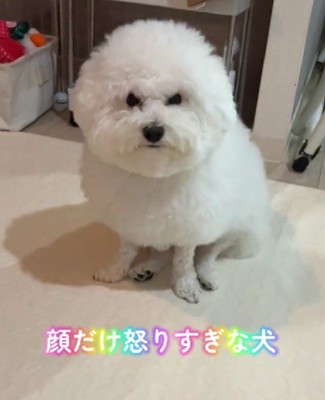 毛が伸びると…