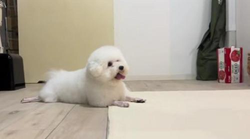 ニコニコ笑顔♡