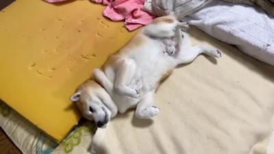 とりあえず受け入れる