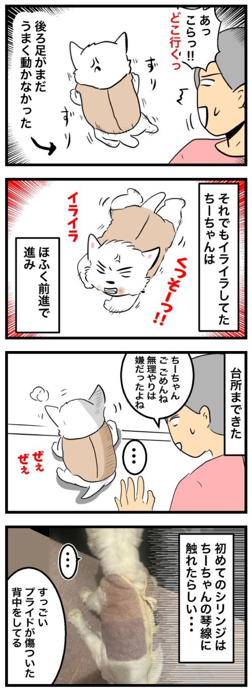 ちーちゃんですけどもっ【第340話】２