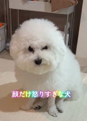 そんな顔も可愛い