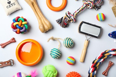 カラフルな犬グッズ