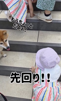 全力応援中！