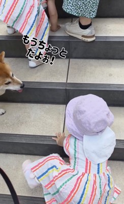 先回りっ