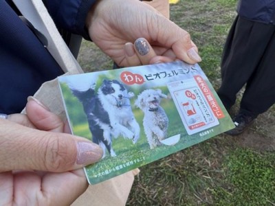 サンプル品