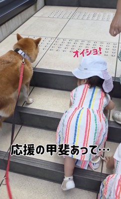 コラショ！