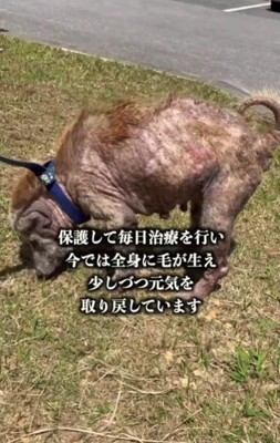 少しずつ改善され…