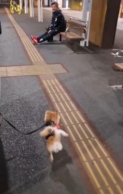 CoCoちゃんとパパさんの再会