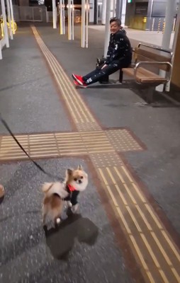 CoCoちゃんとパパさんの再会2