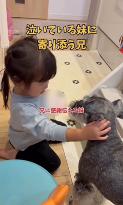 女の子に寄り添うこたろう君4