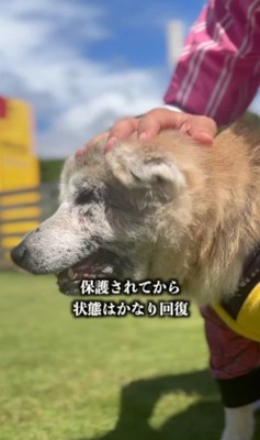 こんなにフワフワに！