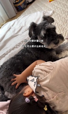 こたろう君を撫でる女の子2