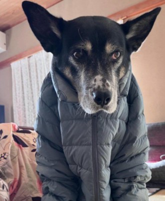 「思ってたのと違う…」