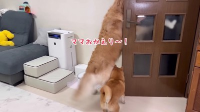 2匹は大喜び！