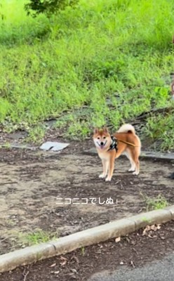 笑顔の福ちゃん