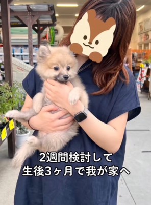 女性に抱っこされる子犬