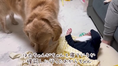 「大丈夫？」