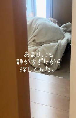 探してみたら…