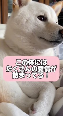 大きくなり過ぎてしまった！？