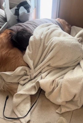 でも、愛おしい…♡