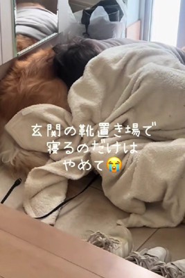 玄関はやめてほしい…！