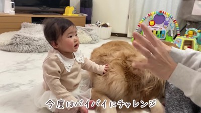 バイバイにチャレンジ！！