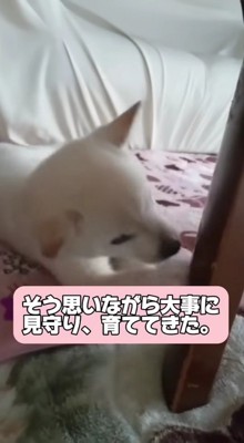 大切に大切に育てた結果…