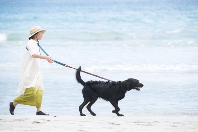 海辺を走る女性と犬