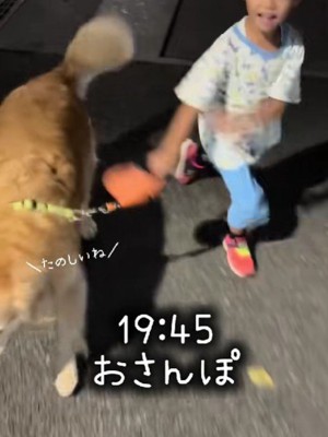 一緒にお散歩に行って…