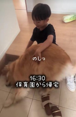 「きなこと離れたくない…」