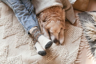 飼い主の足元と犬