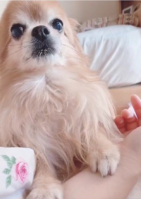 忘れたくない大切な思い出