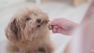 おやつで仲良しに♪