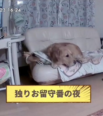「揺れてる!?」