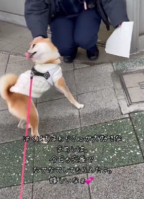 お散歩がもっと好きになりそう！