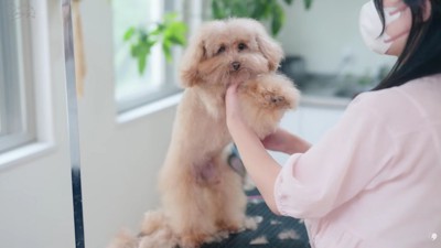 カメラ目線でカット