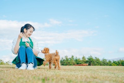 ペットシッターと犬