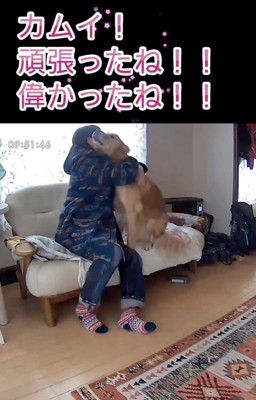 よく頑張りました!