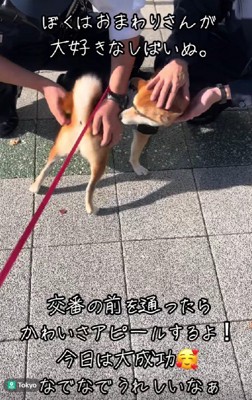 なんて平和な光景…！