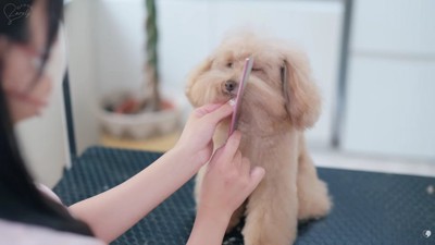 だんだんスッキリしてきた