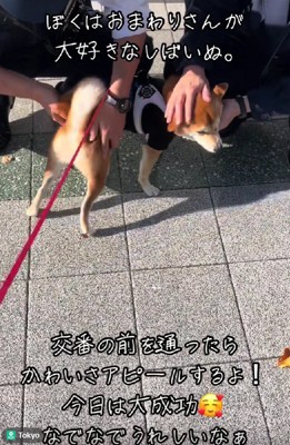 優しい対応にホッコリ