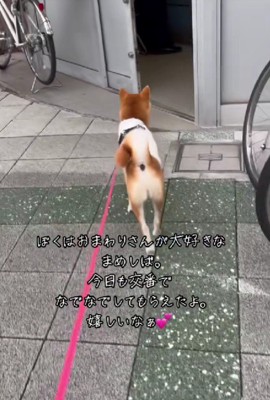 今日も交番に寄ってみよう