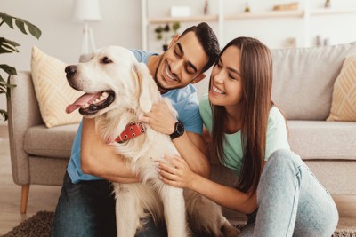 夫婦と犬