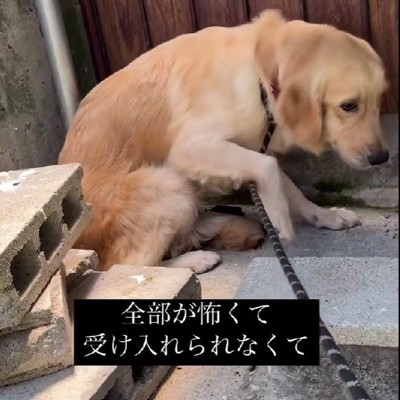 なかなか心を開けない…