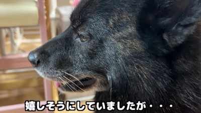 ほっと一安心！？