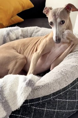 カメラ目線もお手のもの