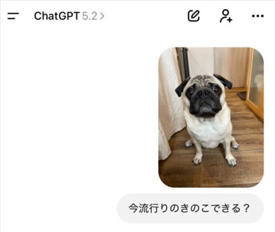 可愛い